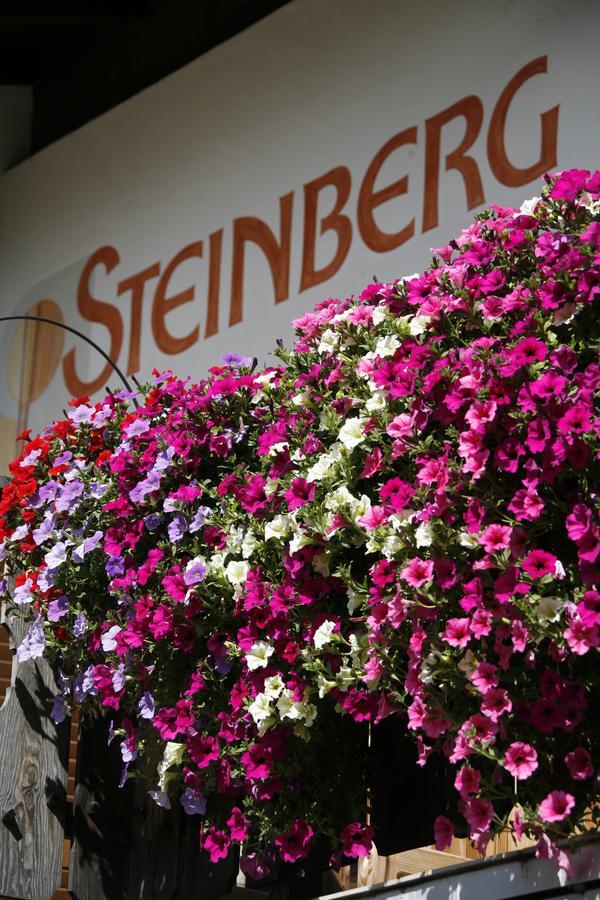 Pension Steinberg Ултимо Екстериор снимка